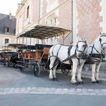 Petite Maison Avec Clim Blois Buitenkant foto