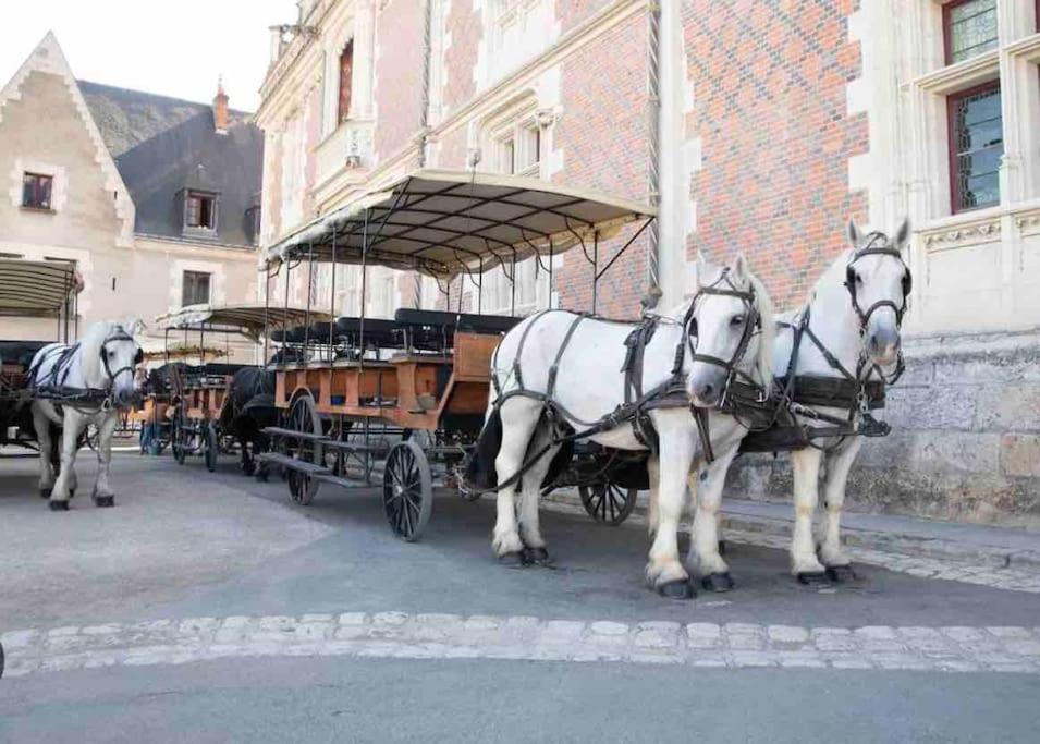 Petite Maison Avec Clim Blois